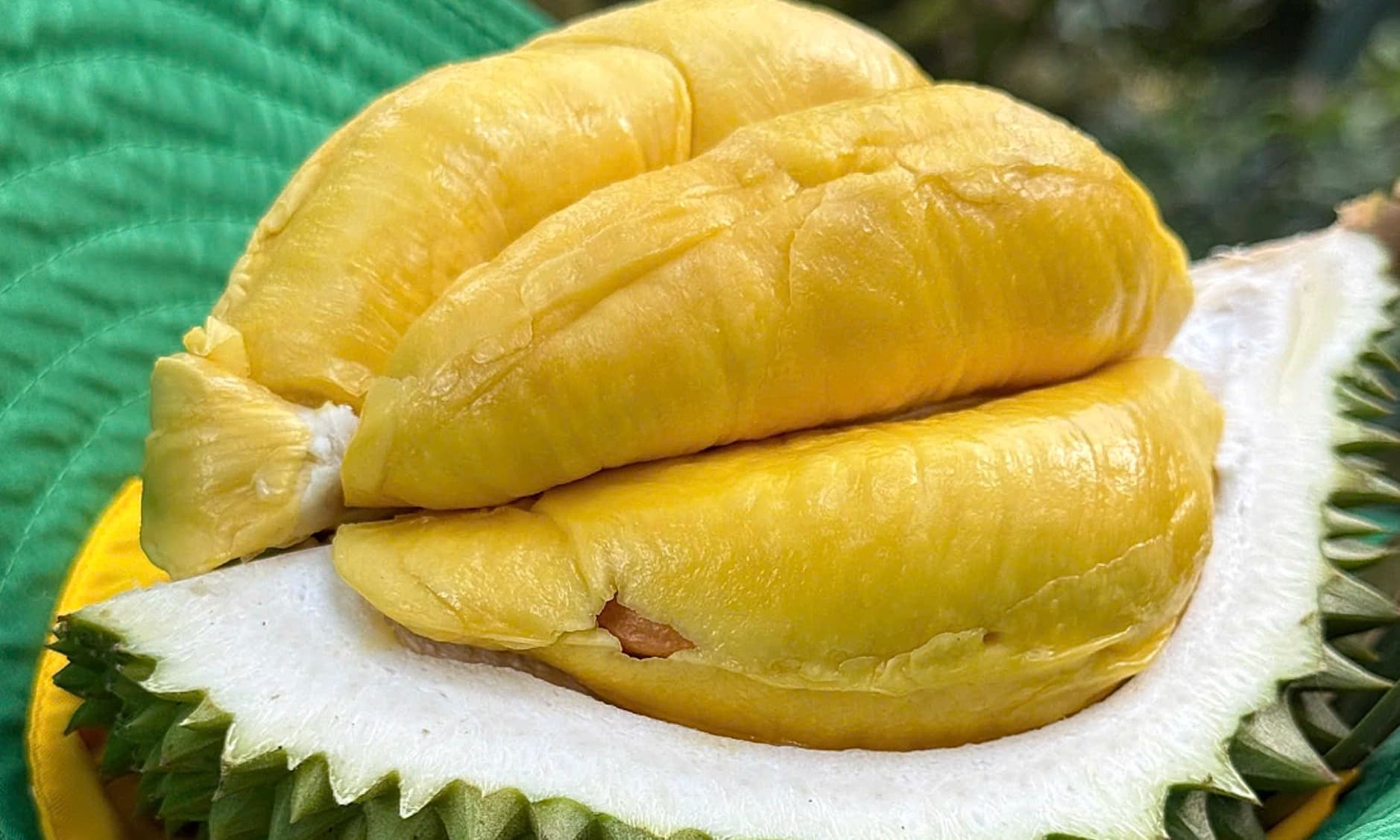 Fresh durian