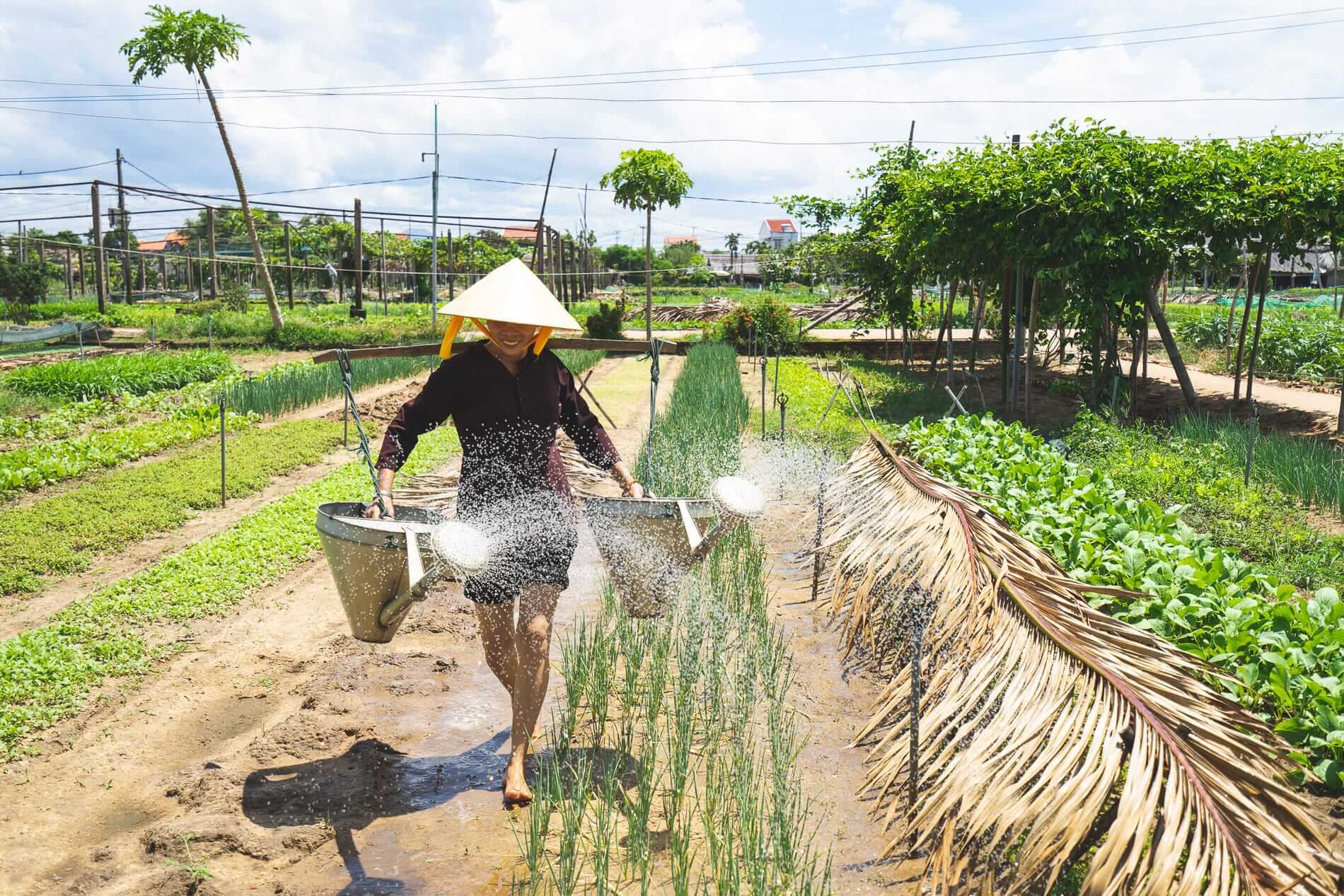 Tra Que Vegetable Village